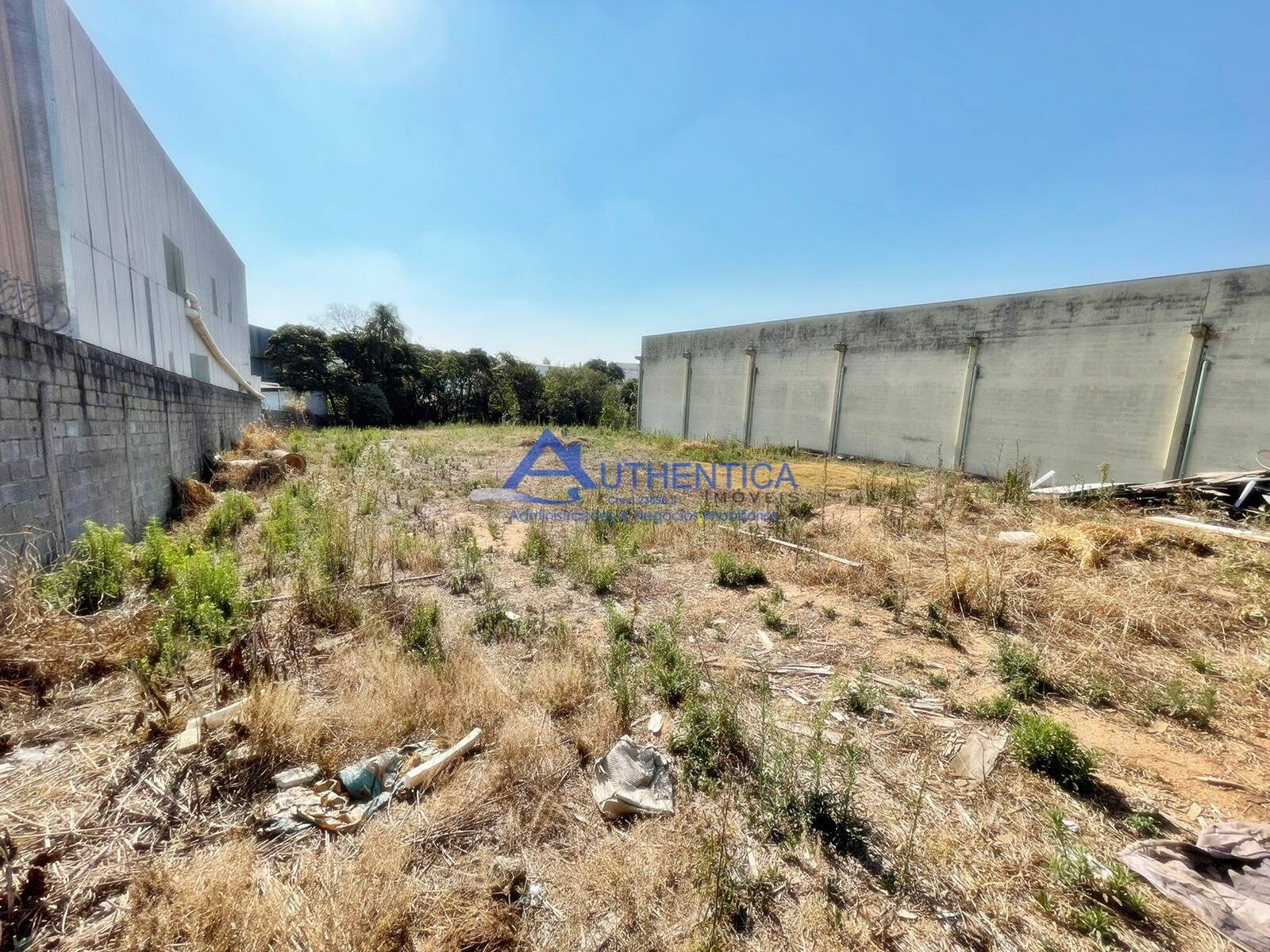 Terreno à venda, 2080m² - Foto 3