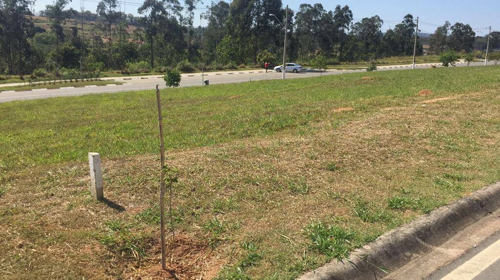 Terreno à venda, 300m² - Foto 2