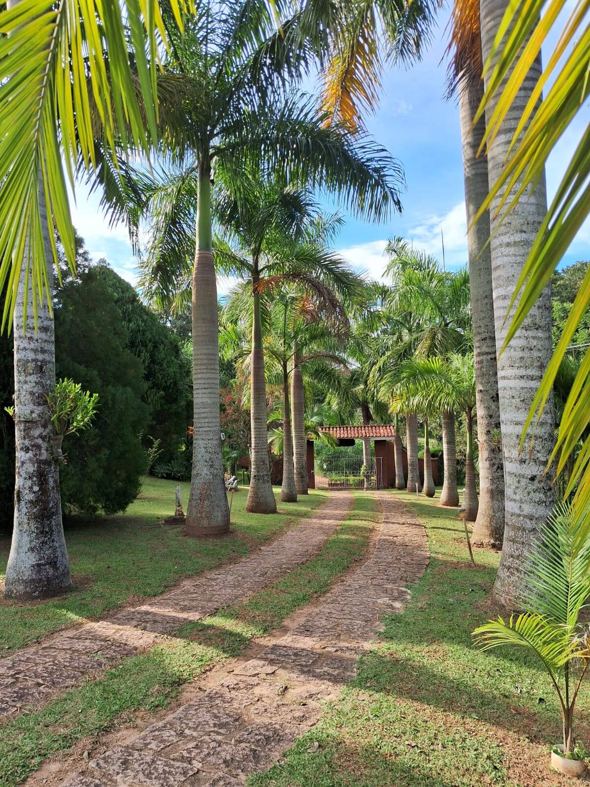 Chácara à venda com 3 quartos, 620m² - Foto 1