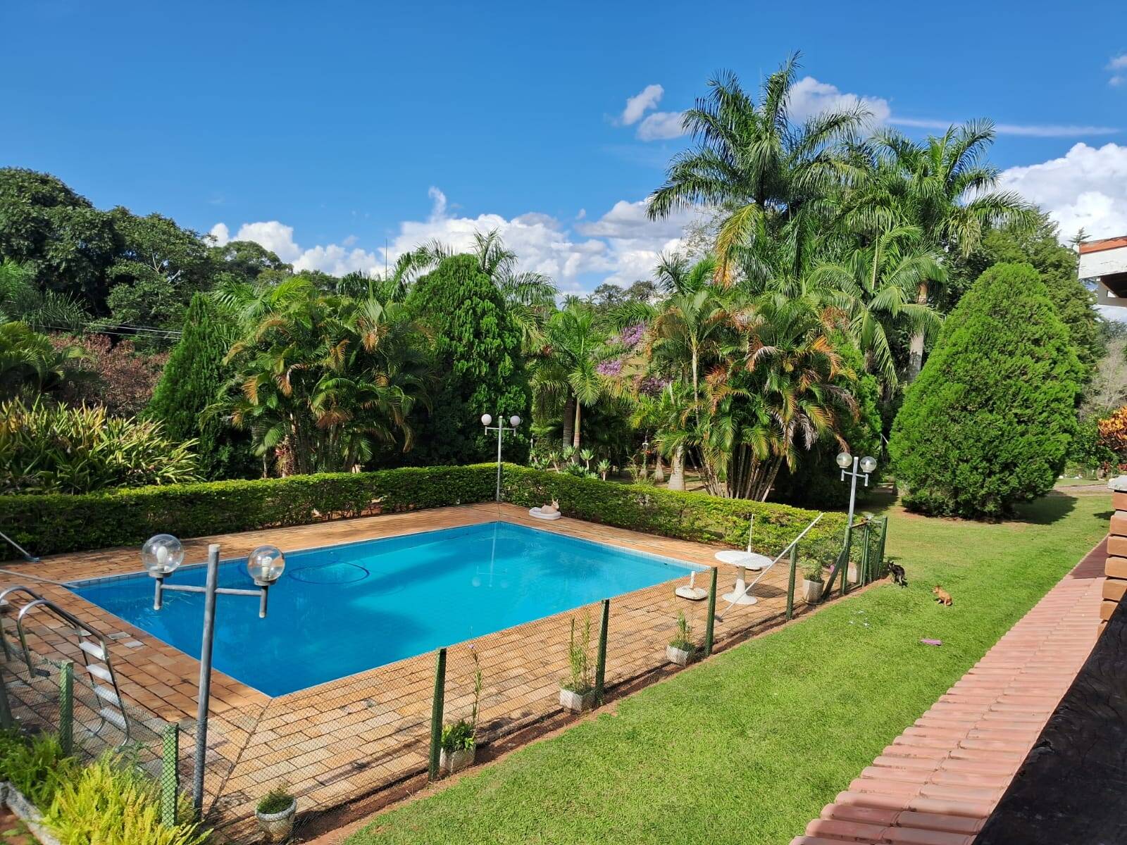 Chácara à venda com 3 quartos, 620m² - Foto 14