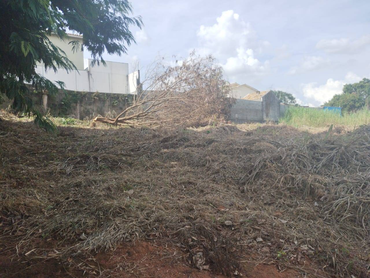 Terreno, 975 m² - Foto 6