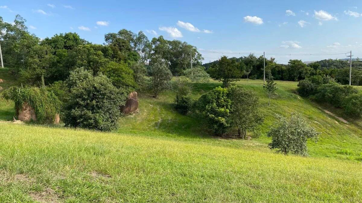 Terreno, 1116 m² - Foto 3