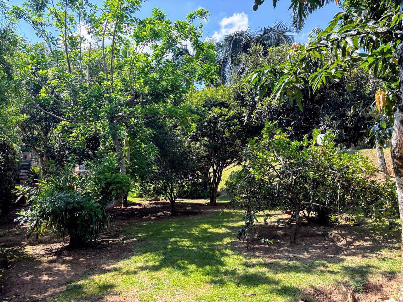 Casa de Condomínio, 4 quartos - Foto 42