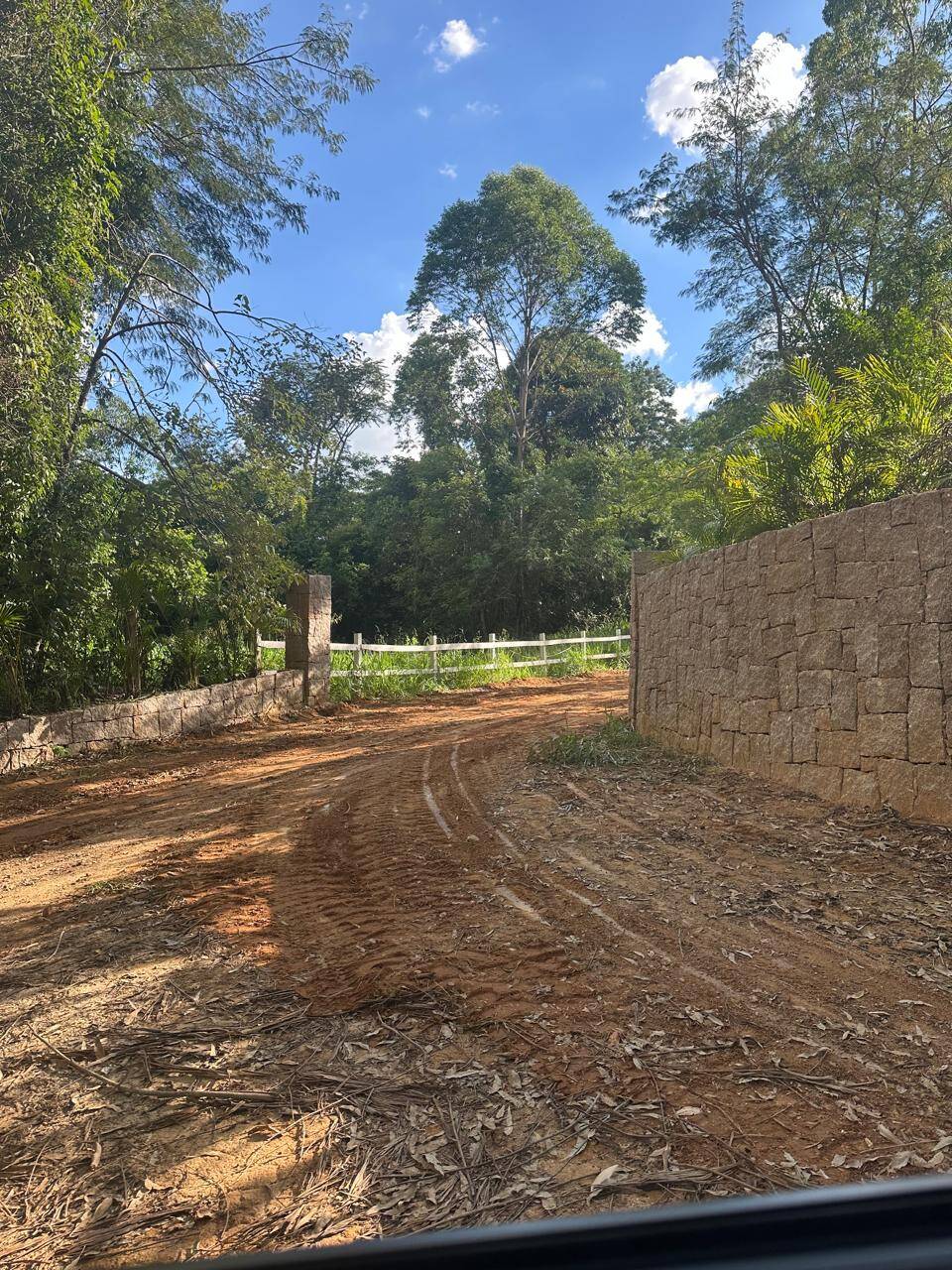 Terreno, 2 hectares - Foto 11