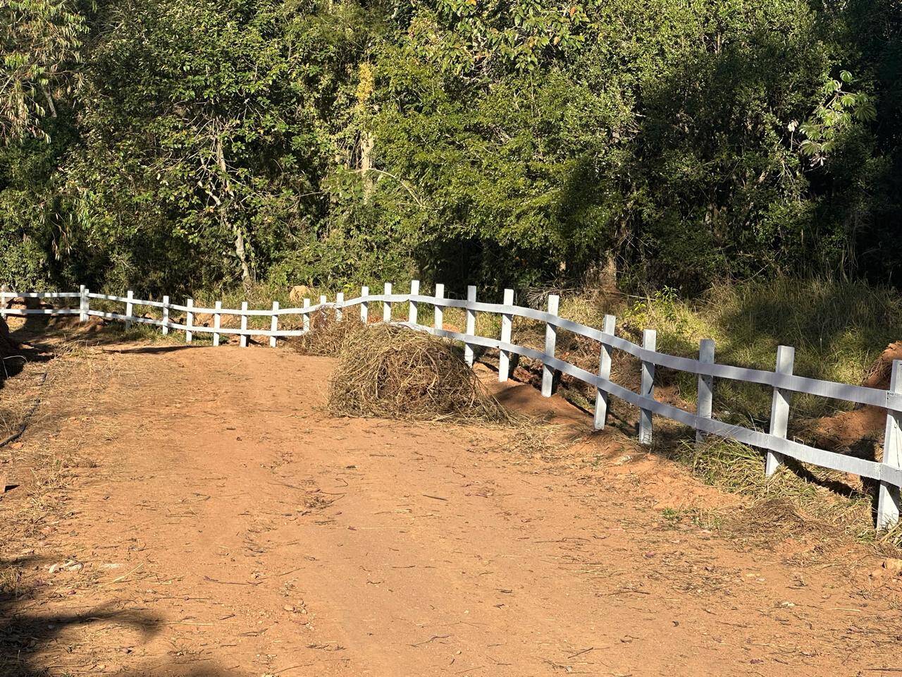 Terreno, 2 hectares - Foto 12