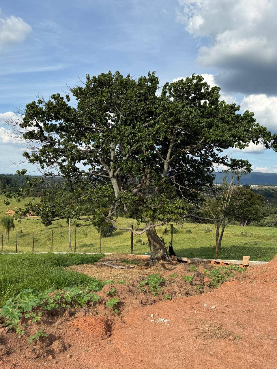 Terreno, 2 hectares - Foto 15