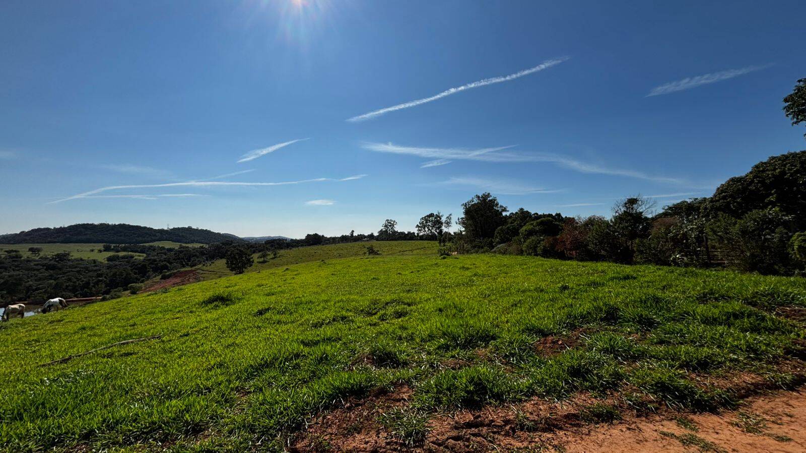 Terreno, 2 hectares - Foto 18