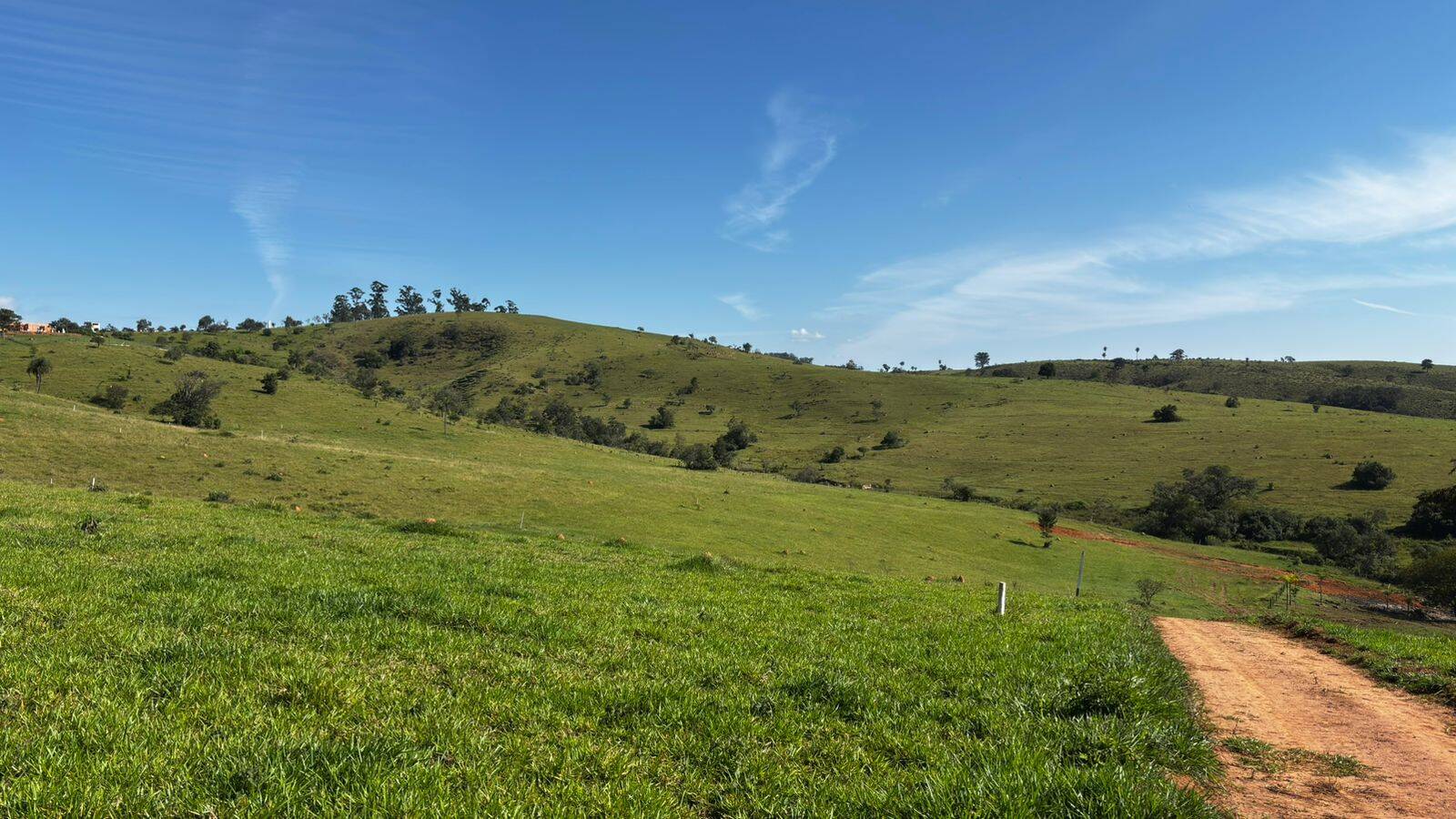 Terreno, 2 hectares - Foto 20