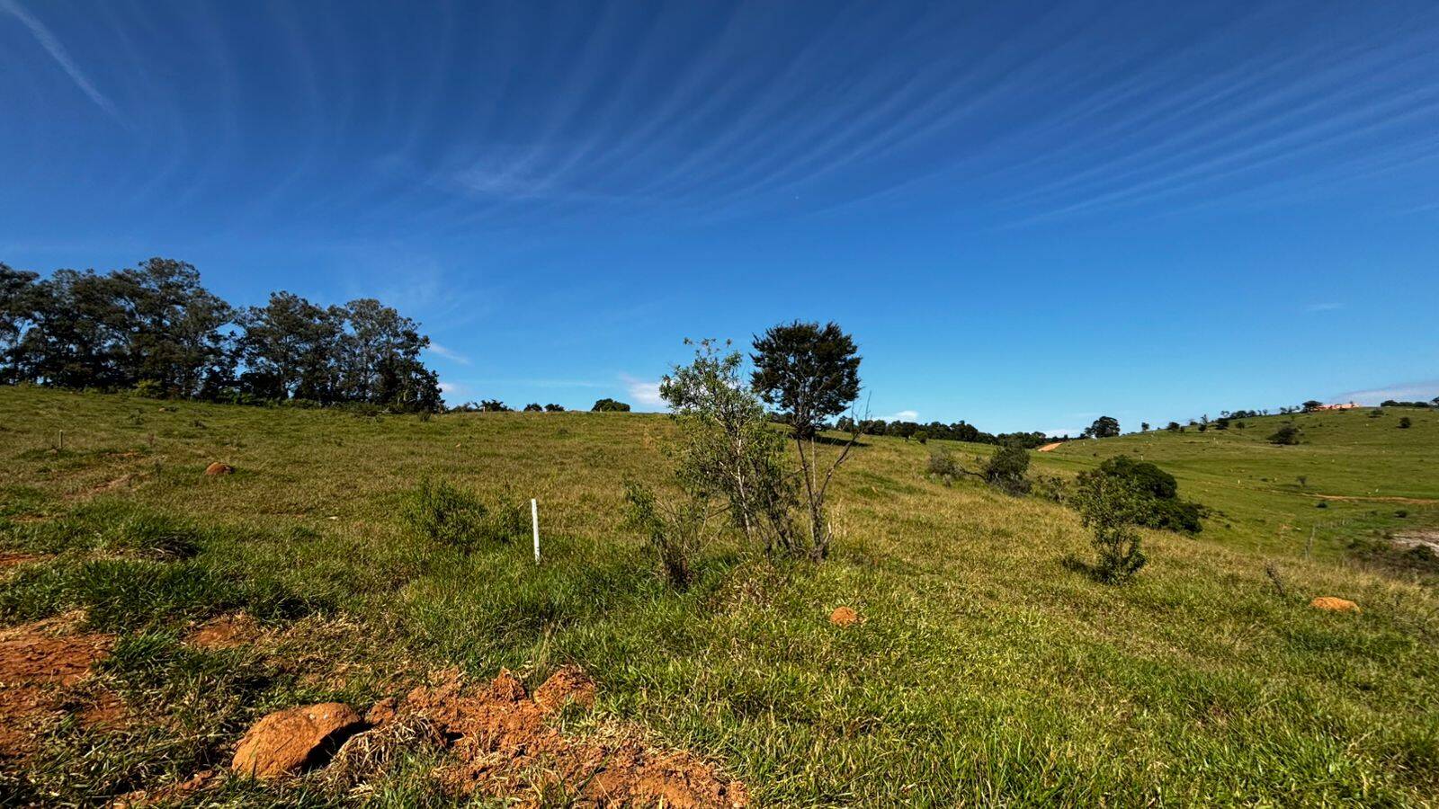 Terreno, 2 hectares - Foto 21