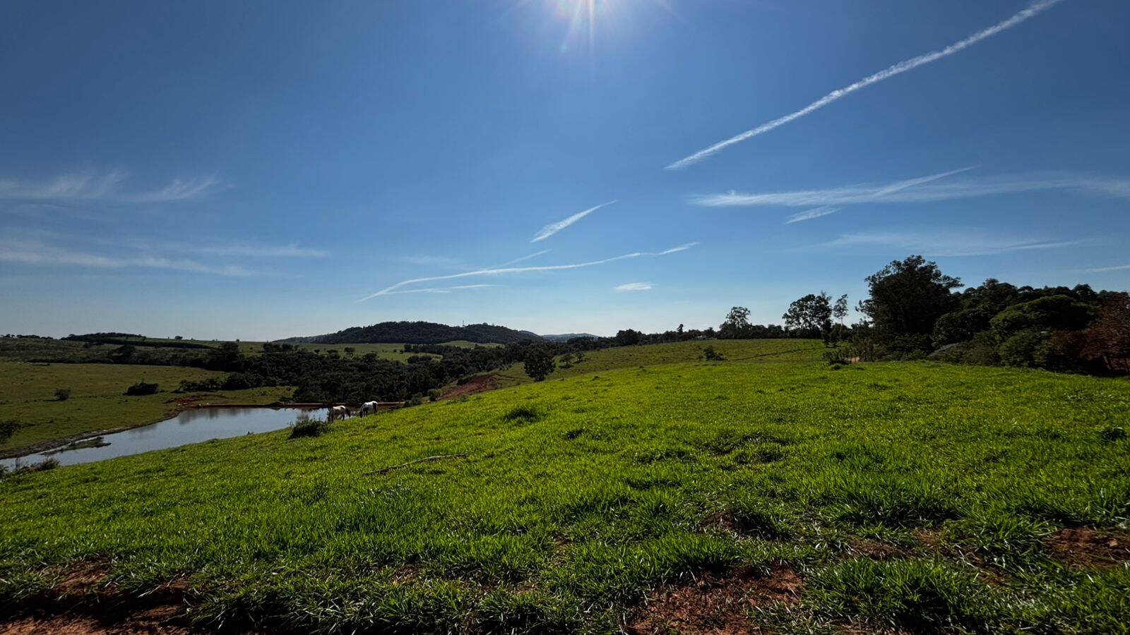 Terreno, 2 hectares - Foto 23