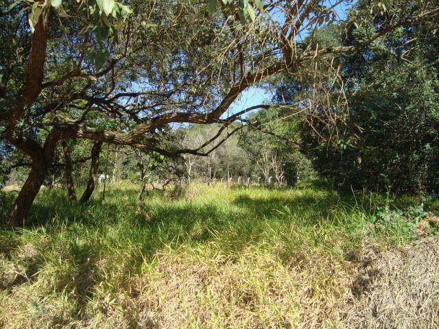 Terreno para Venda em Itupeva - 5