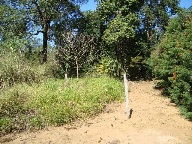 Terreno para Venda em Itupeva - 2