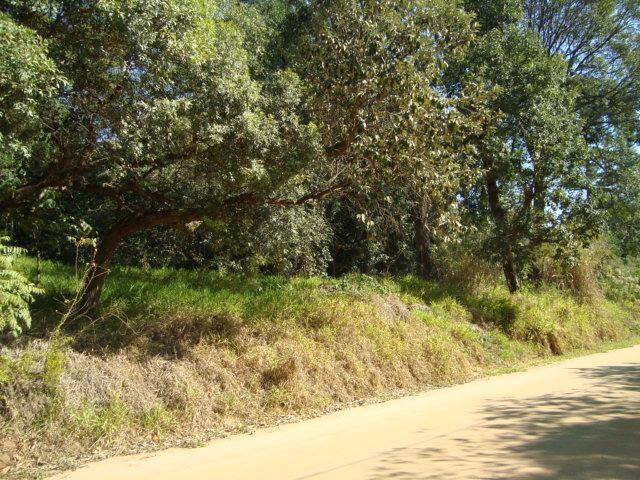 Terreno para Venda em Itupeva - 4