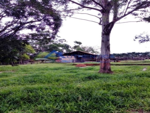 #711 - Fazenda para Venda em Itupeva - SP - 3