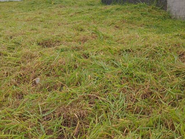 #1128 - Terreno para Venda em Indaiatuba - SP - 1