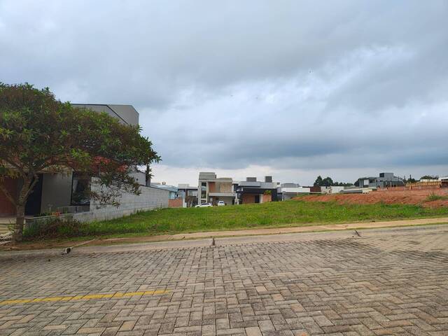  para  em  - 5