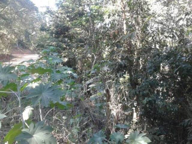 Terreno para Venda em Itupeva - 3