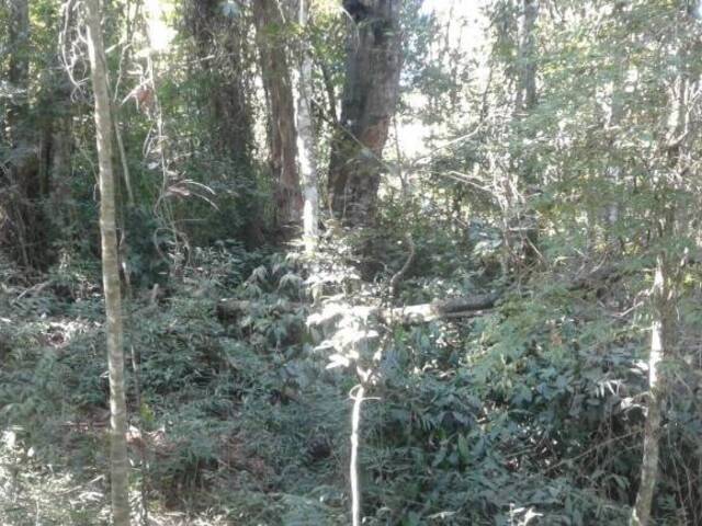 Terreno para Venda em Itupeva - 4