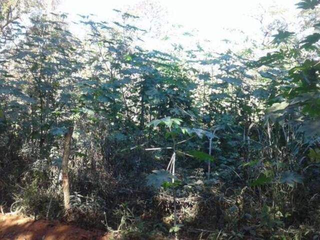 Terreno para Venda em Itupeva - 5